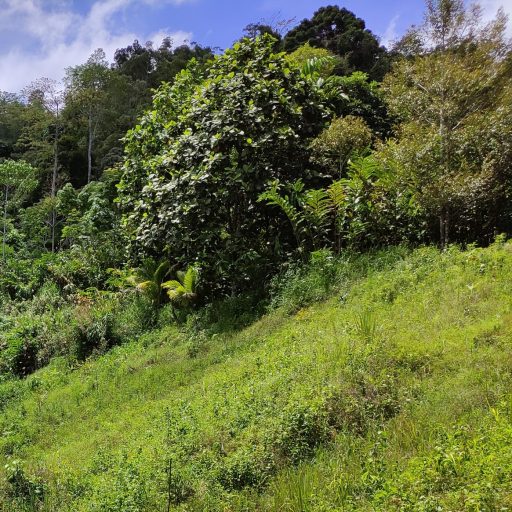 Home TeraZ World home-teraz-world